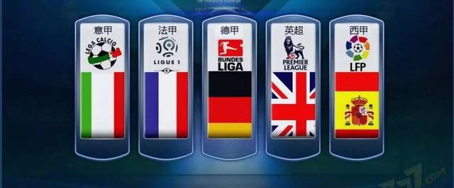 将灰熊的防 将灰熊的防